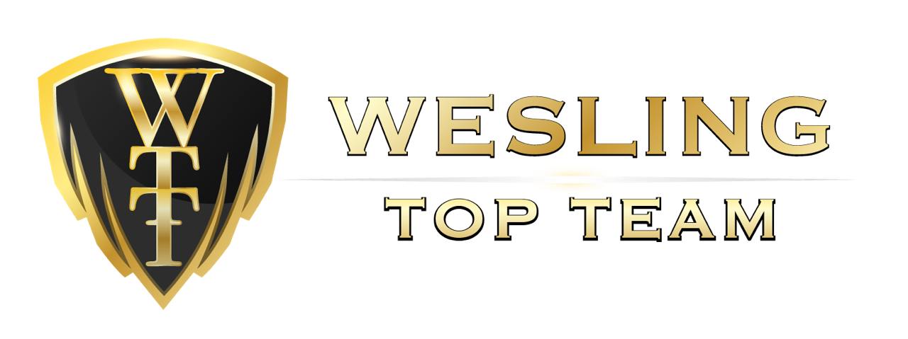 Logo Wesling Top Team - klient AM Automations